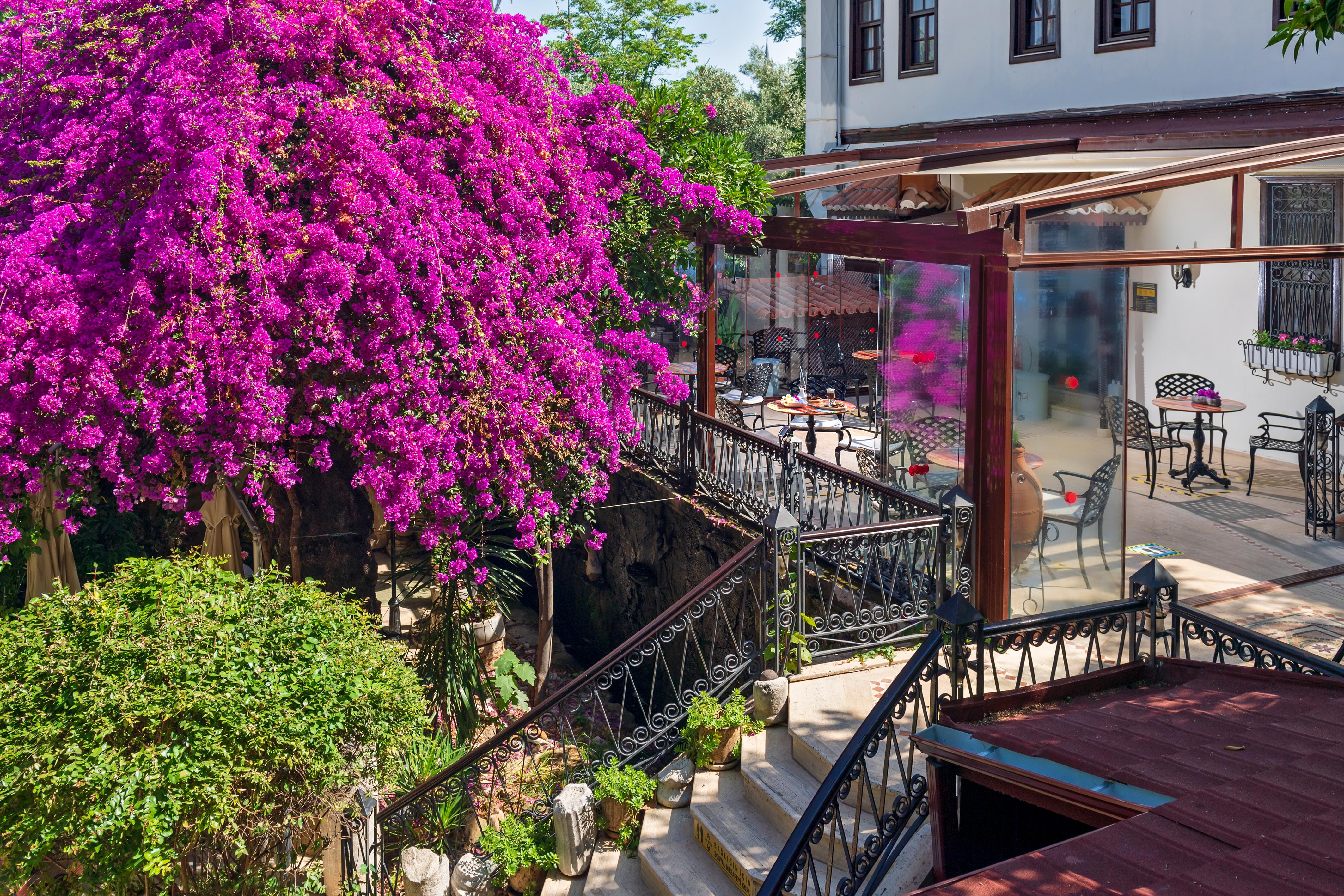 Dogan Hotel Antalya Exteriér fotografie
